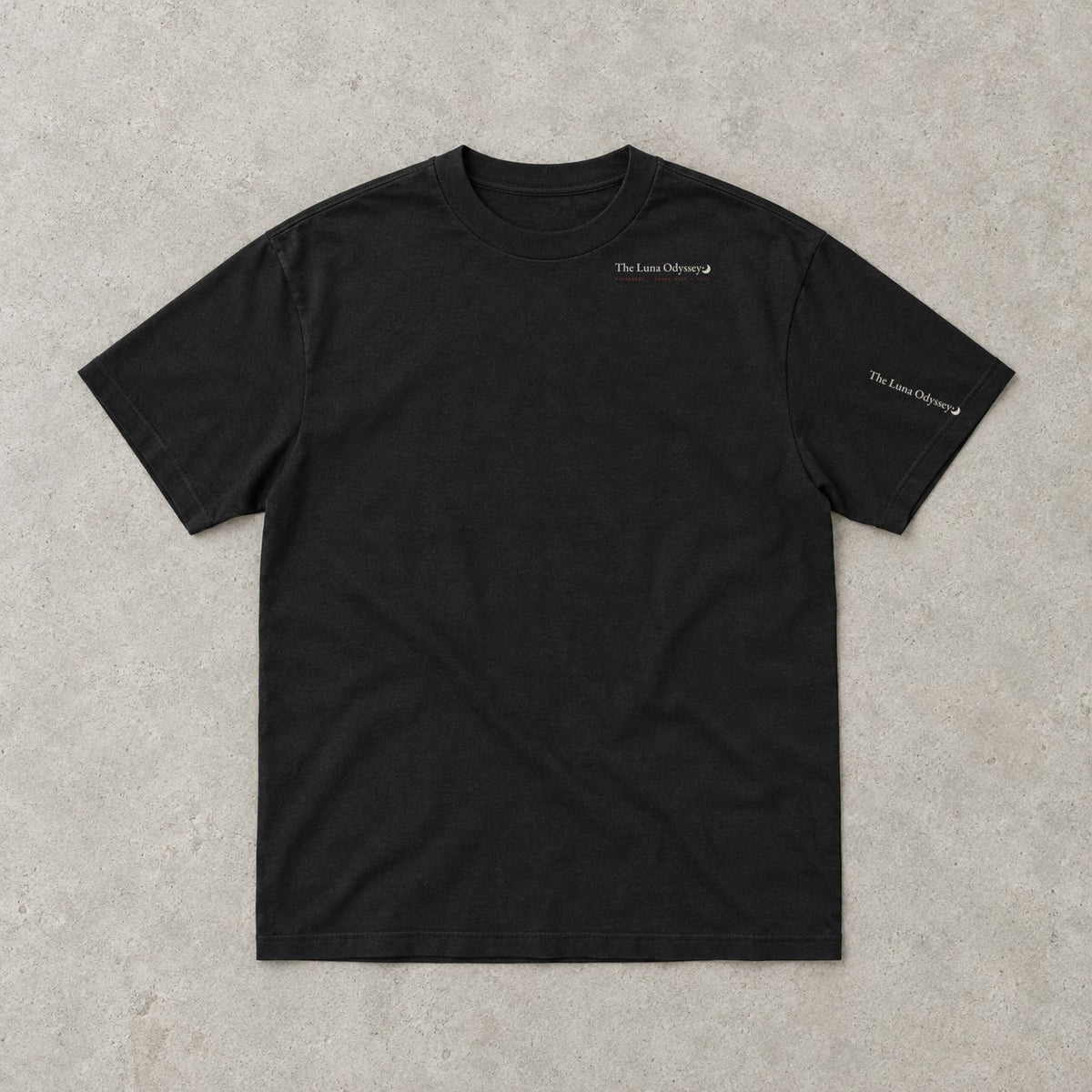 Boarding Instructions Tee — Carpe Diem
