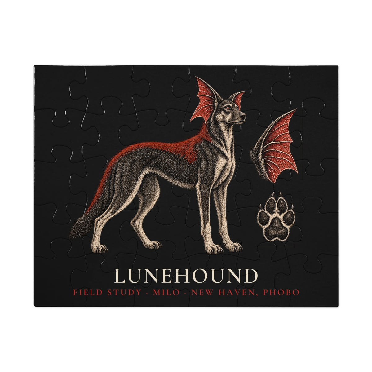 Lunehound Field Study Puzzle